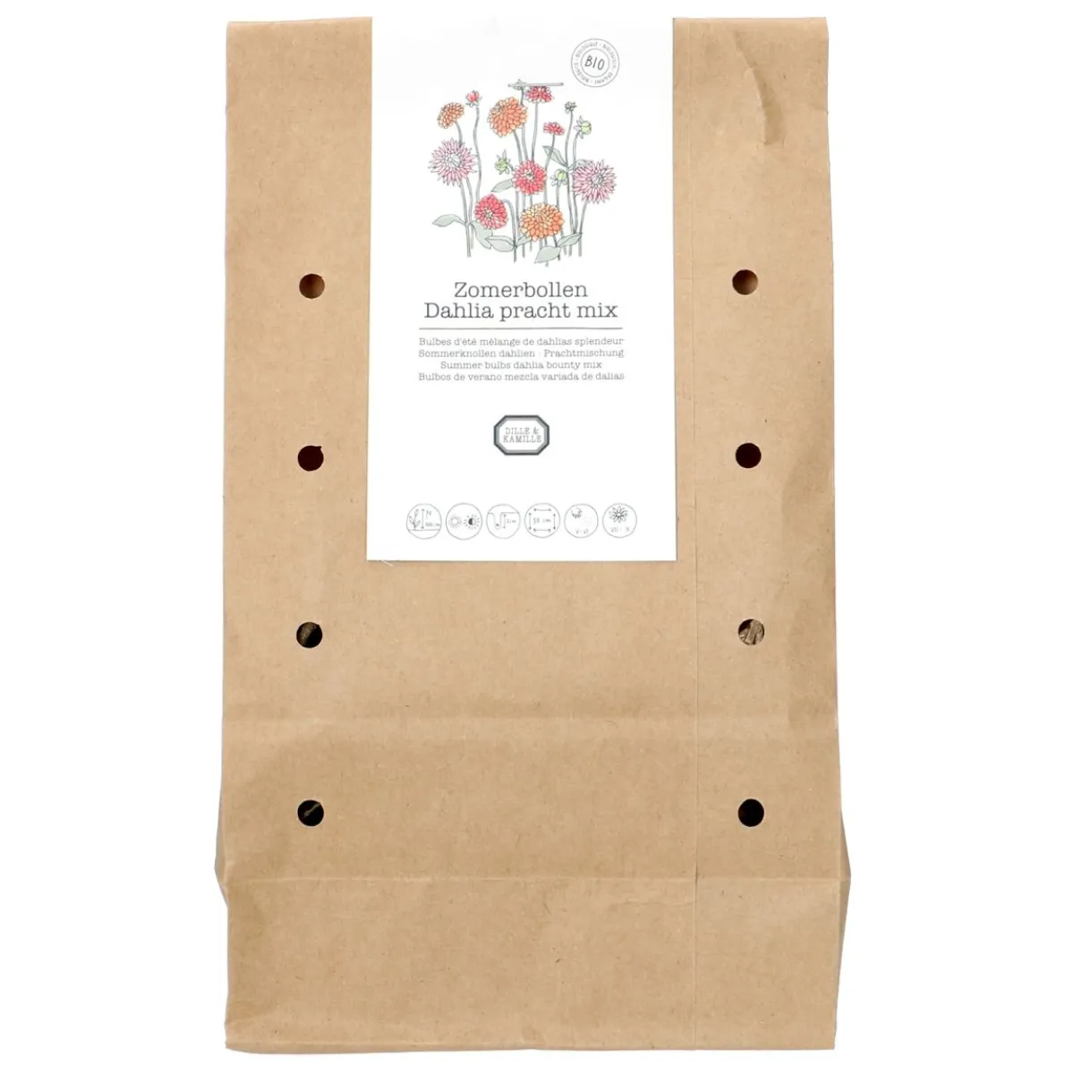 Bloembollen dahlia pracht mix, 3 stuks