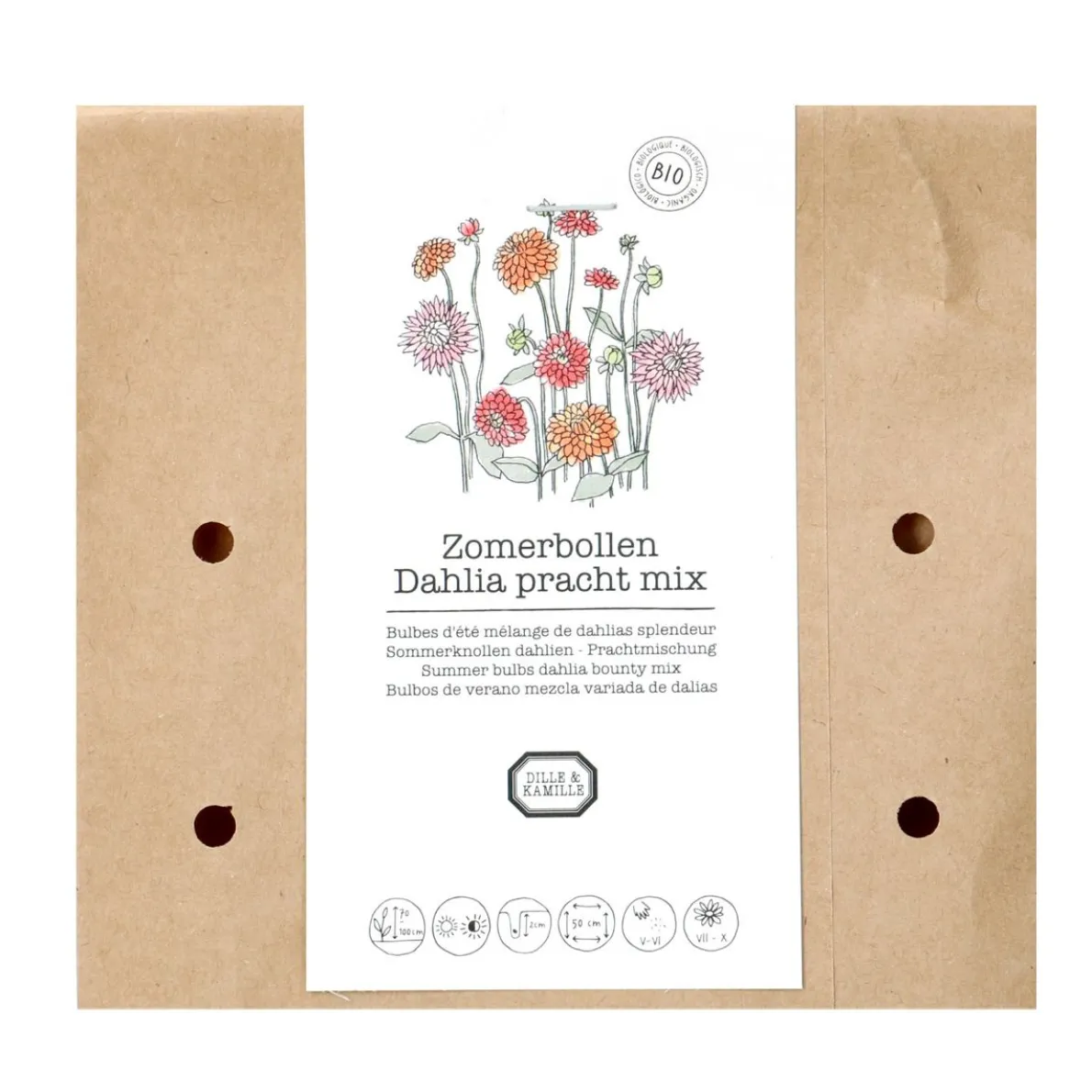 Bloembollen dahlia pracht mix, 3 stuks