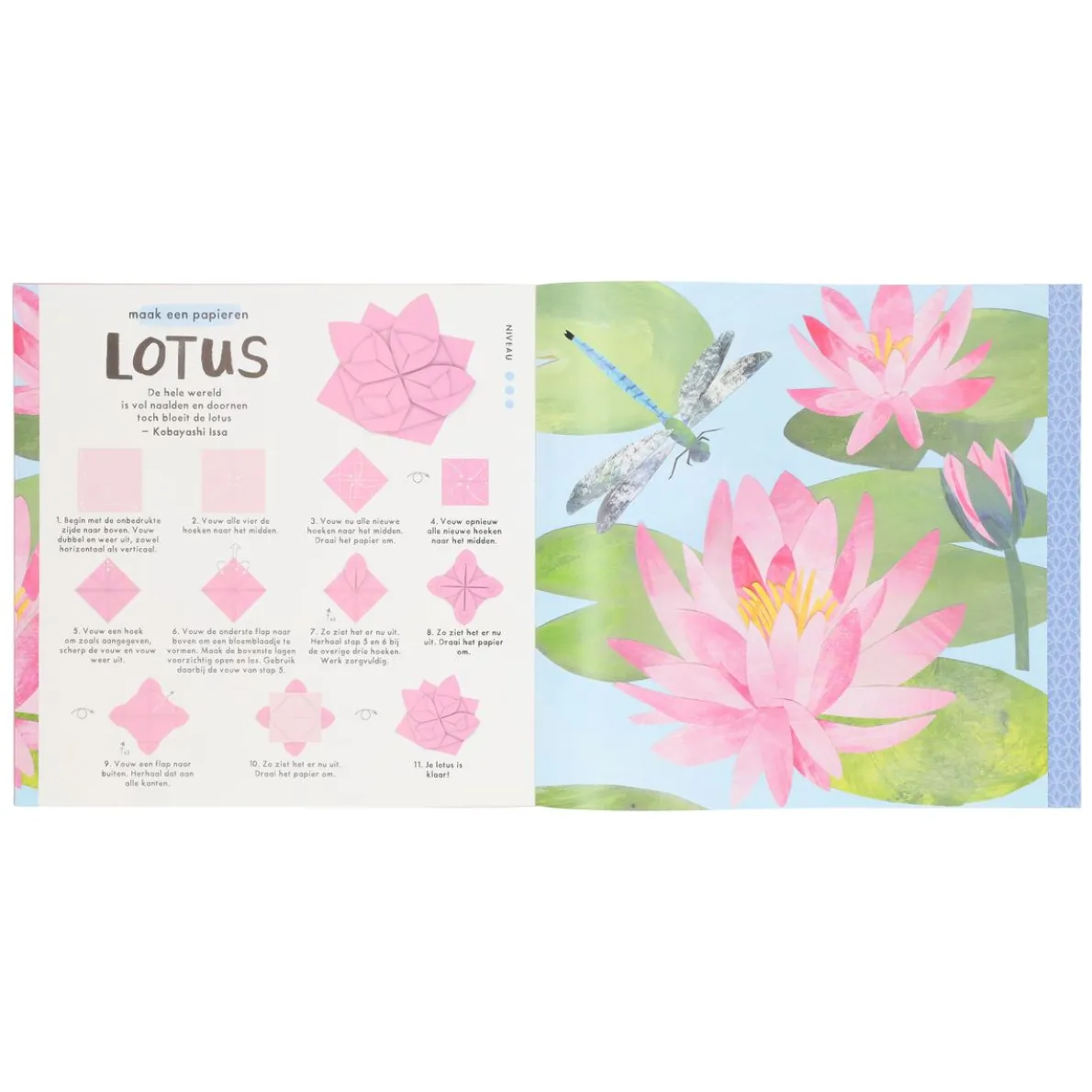 Bloemen origami, Nick Robinson