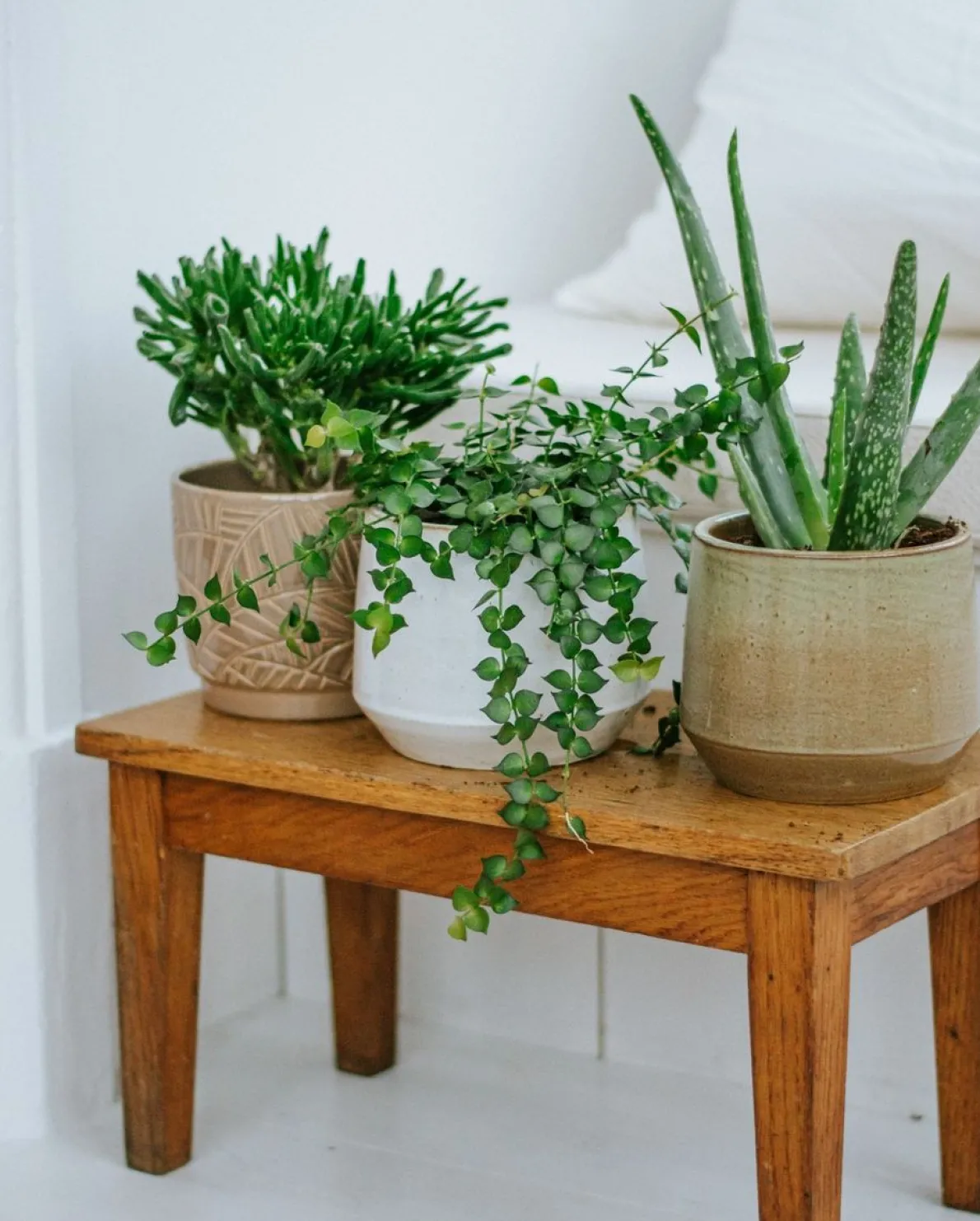 Bloempot, aardewerk, zachtgroen, Ø 23 cm