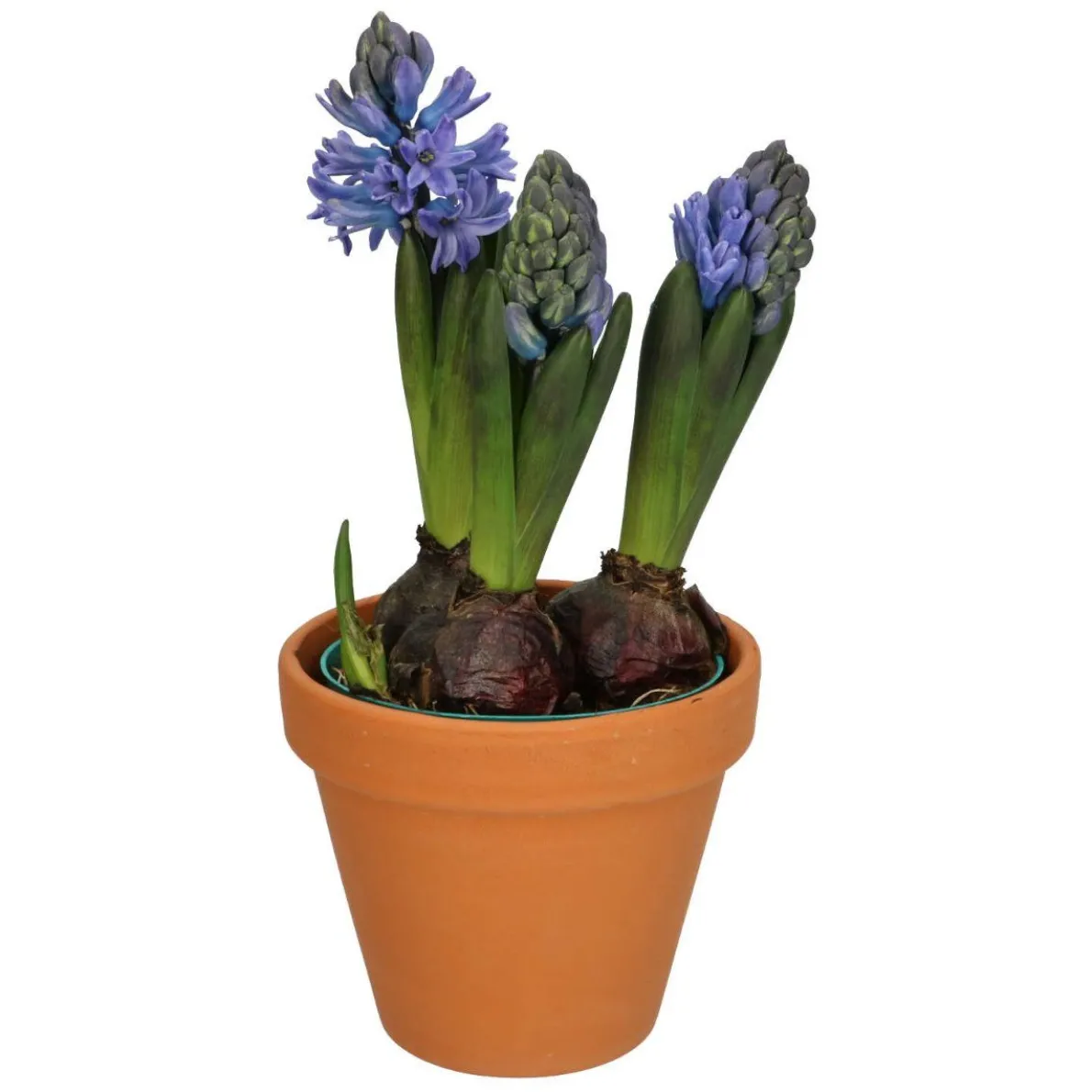 Bloempot, terracotta, Ø 13 cm