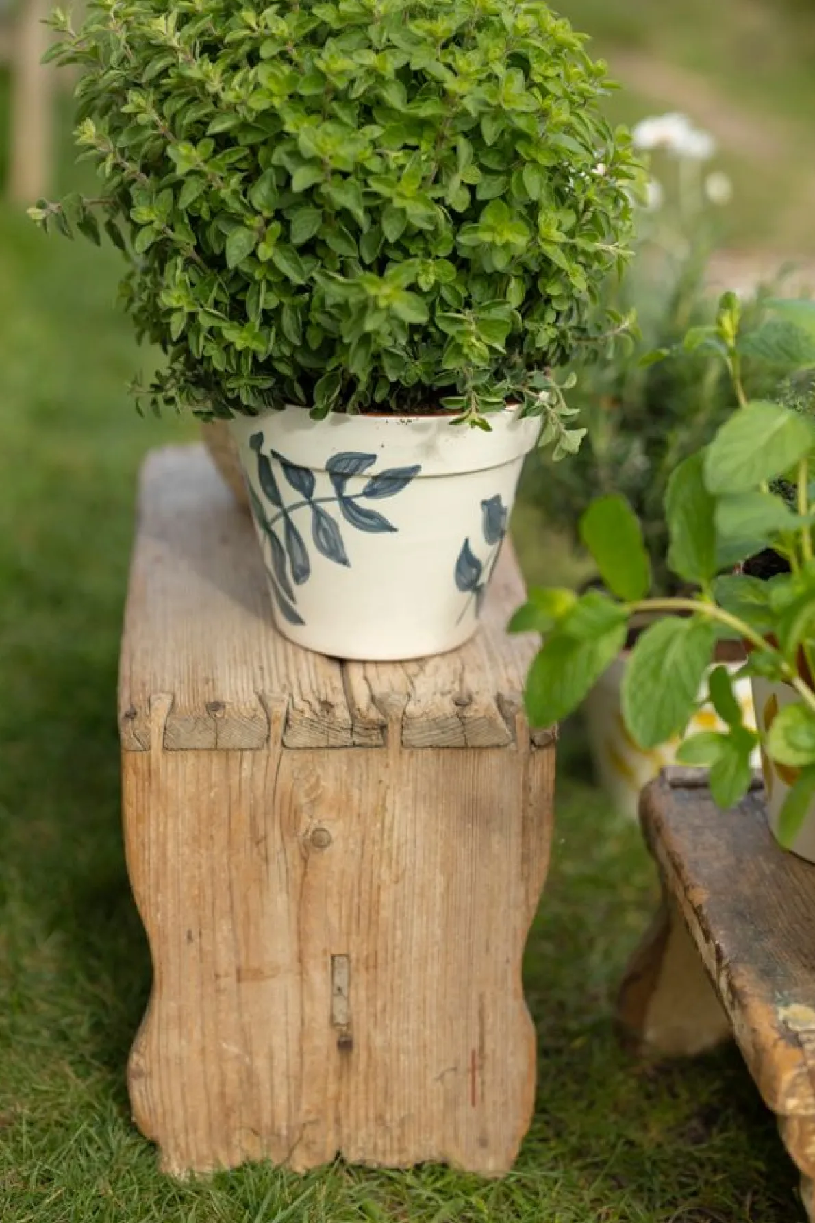 Bloempot, terracotta, blauw bladsilhouet, Ø 19 cm