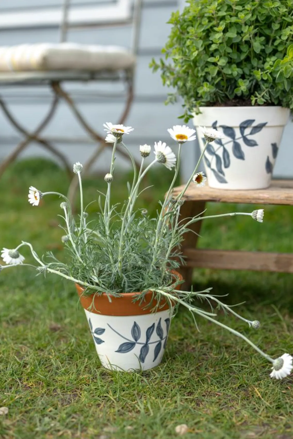 Bloempot, terracotta, blauw bladsilhouet, Ø 17 cm