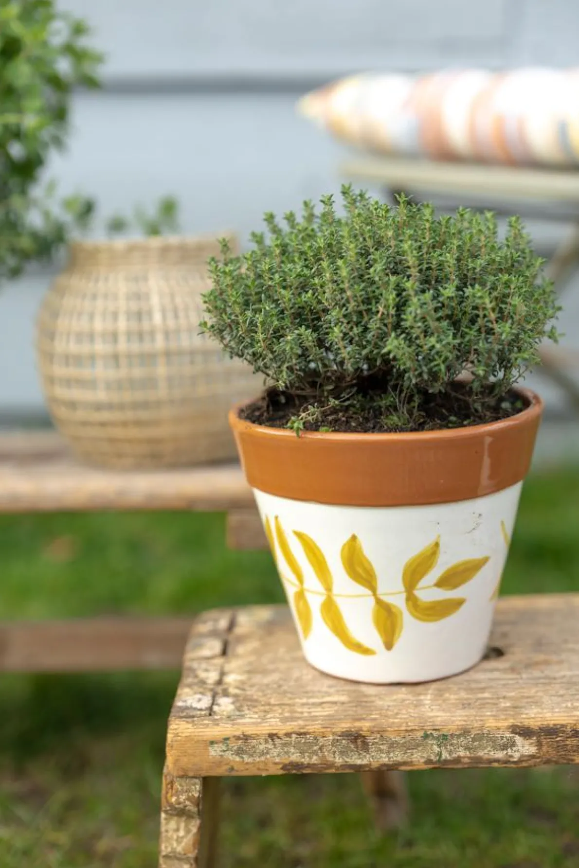 Bloempot, terracotta, geel bladsilhouet, Ø 17 cm