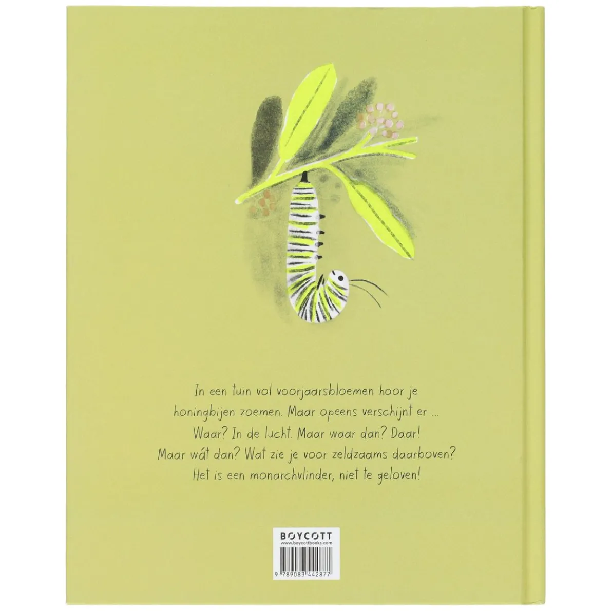 De monarchvlinder, Kirsten Hall