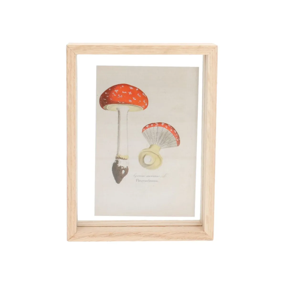 Fotolijst, eikenhout, 13 x 18 cm