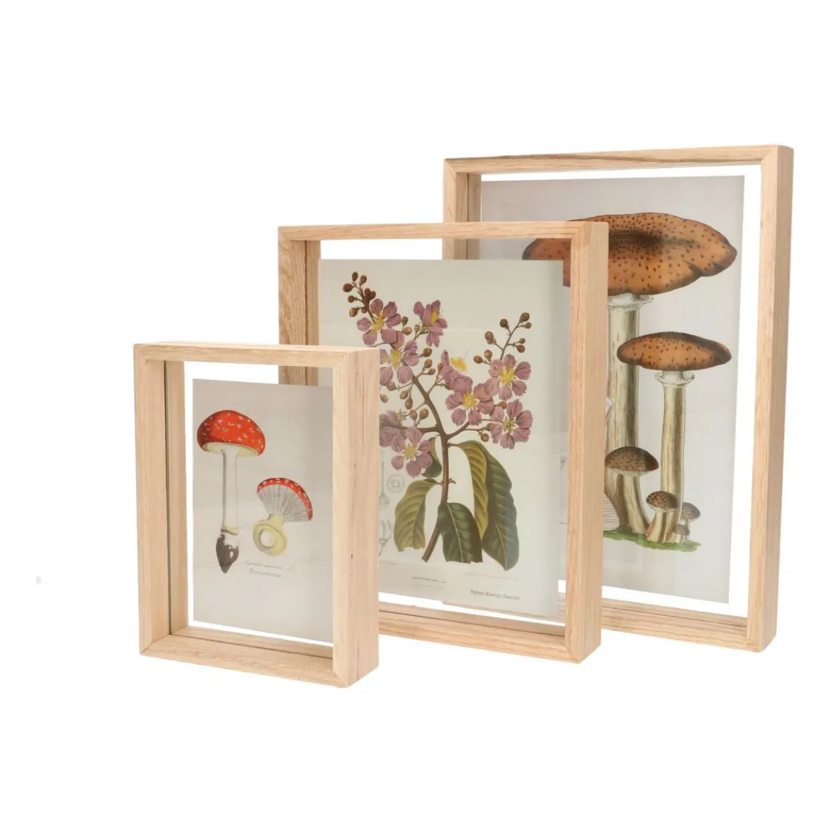 Fotolijst, eikenhout, 13 x 18 cm