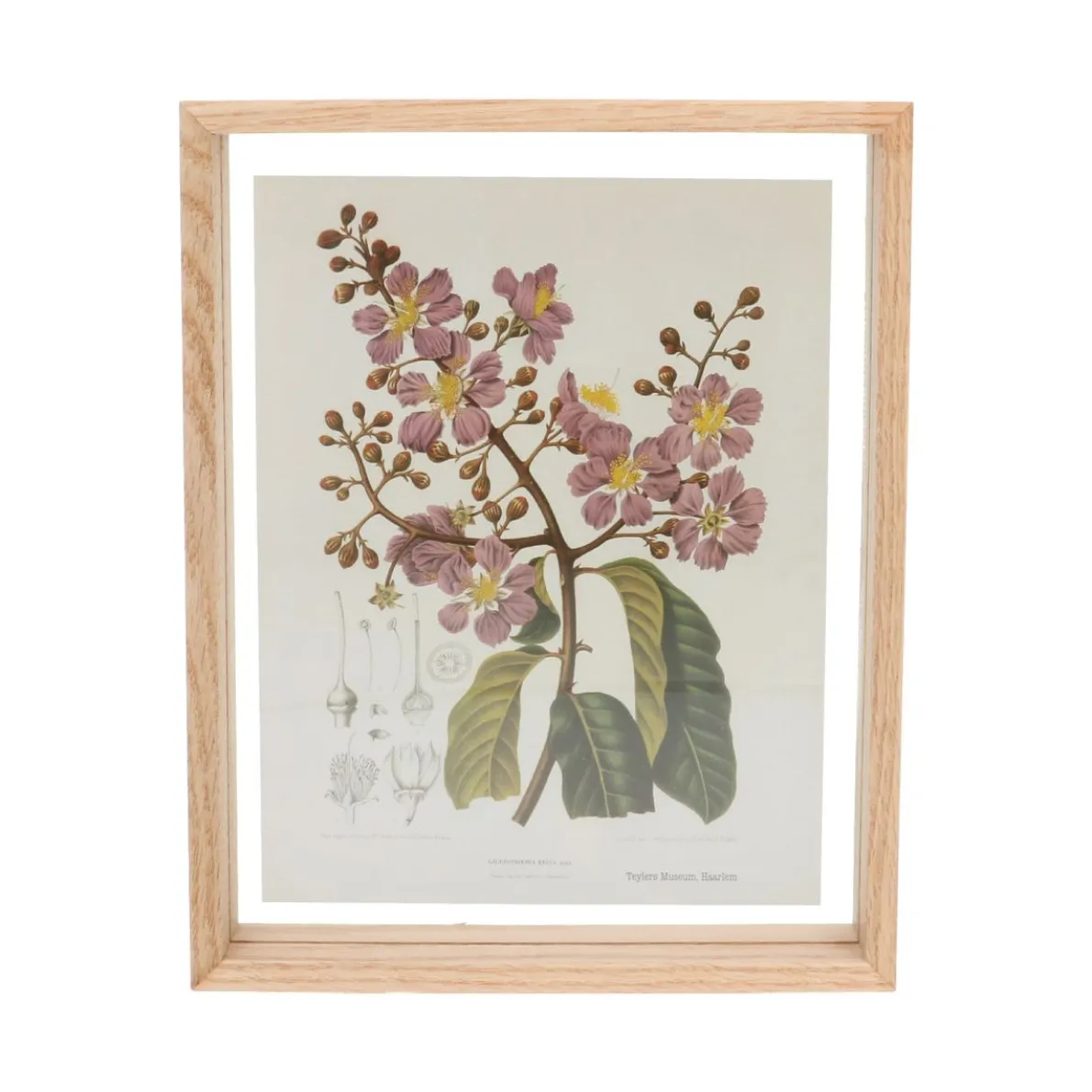 Fotolijst, eikenhout, 20 x 25 cm