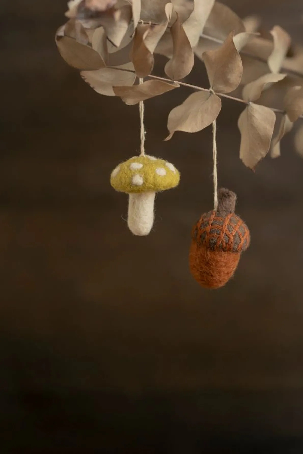 Hanger, vilt, eikeltje, bruin