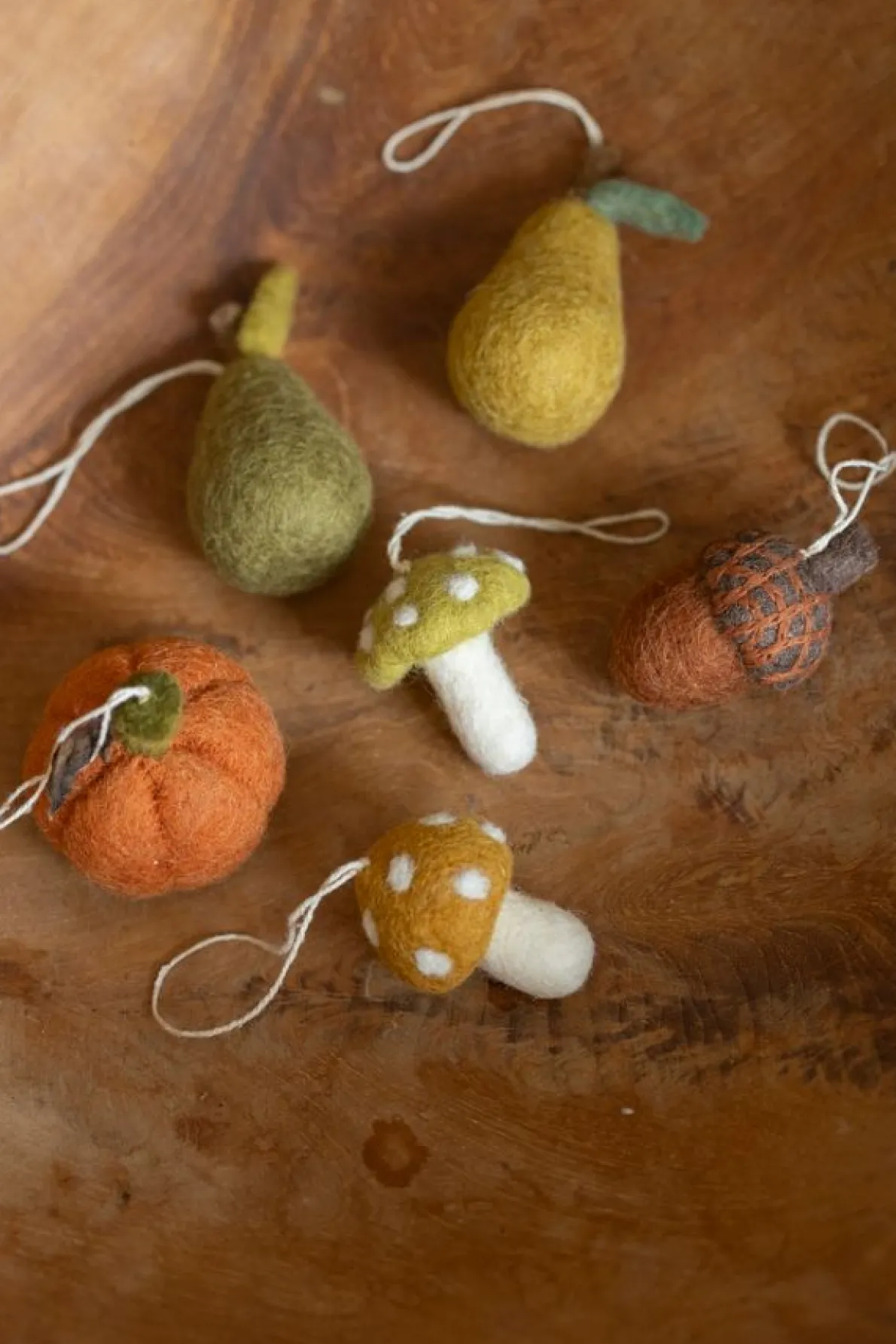 hanger, vilt, pompoen, oranje, vilt