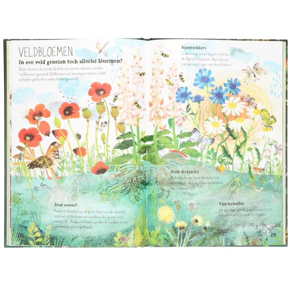 Het Briljante Bloemen Boek, Yuval Zommer