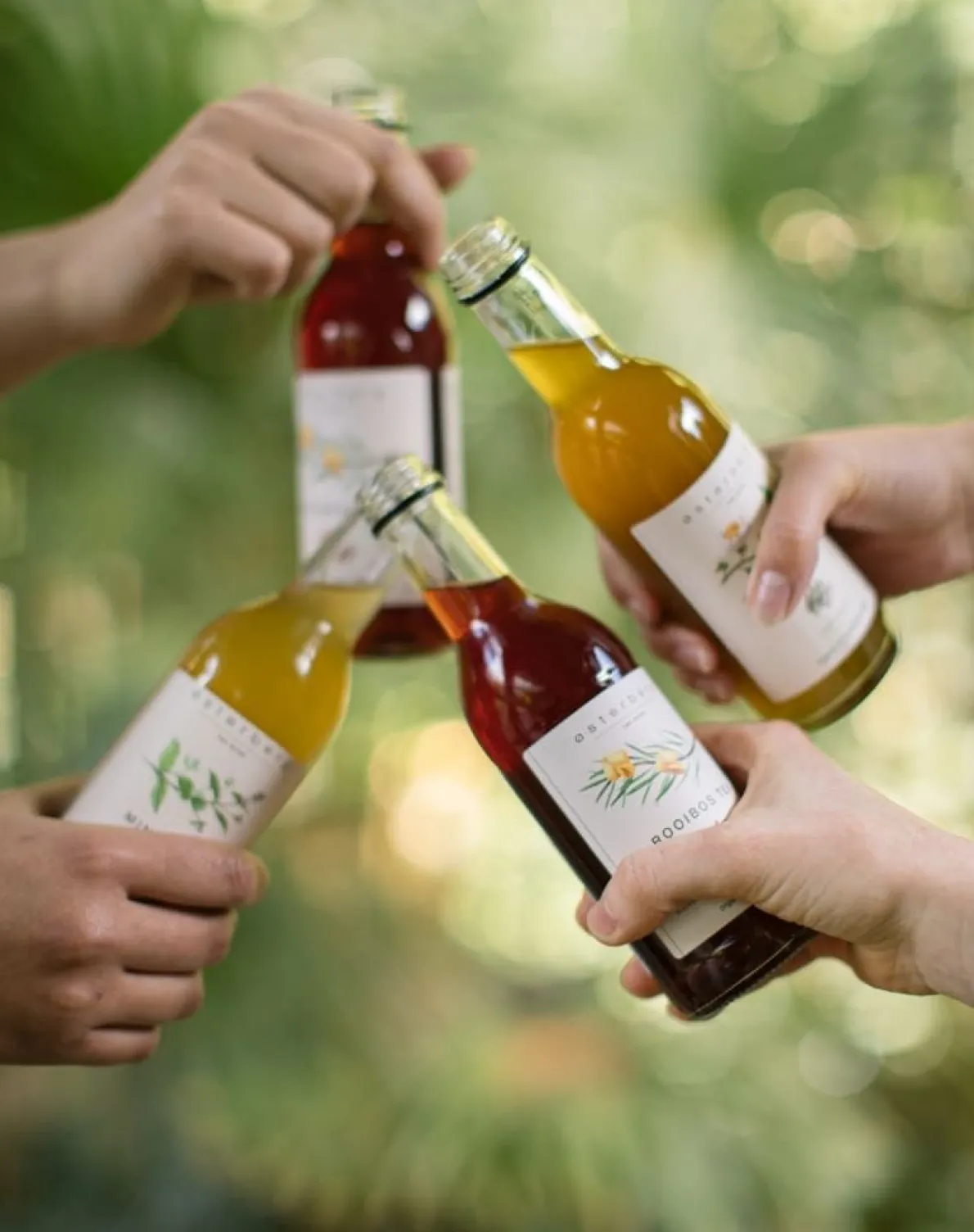 IJsthee, biologisch, munt, yuzu, rozemarijn, 250 ml