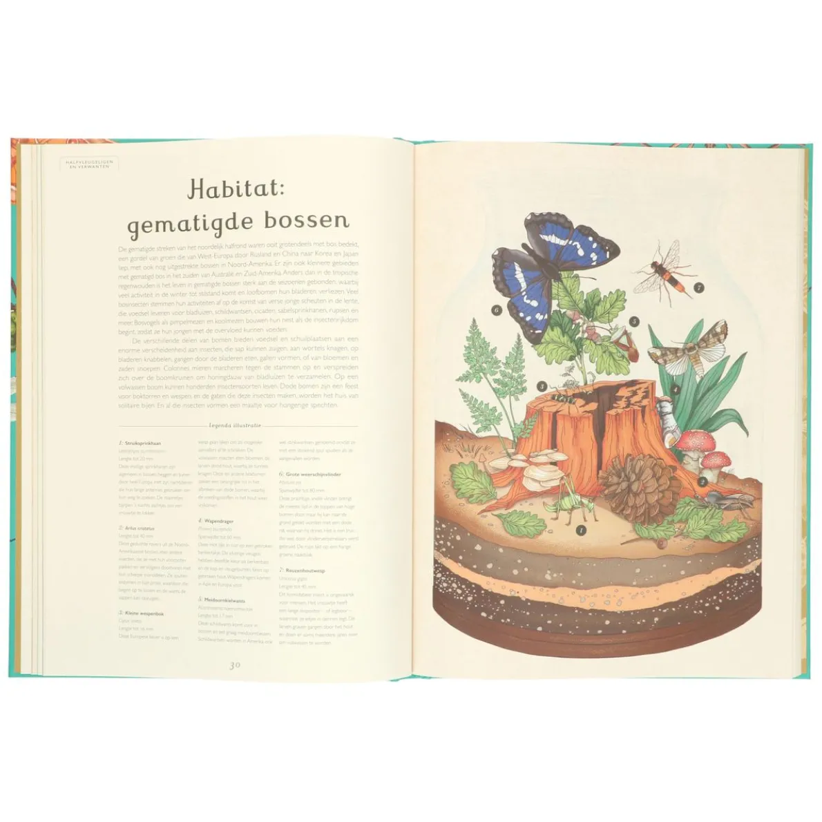 Insecten, Emily Carter & Dave Goulson