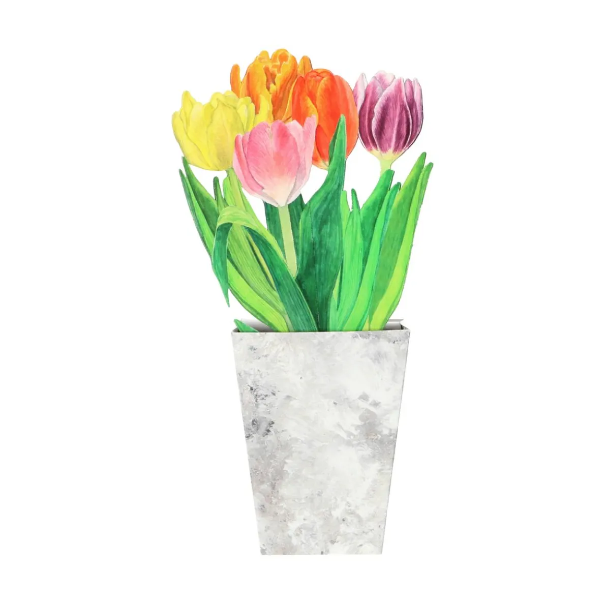 Kaart 3D met envelop, tulpen
