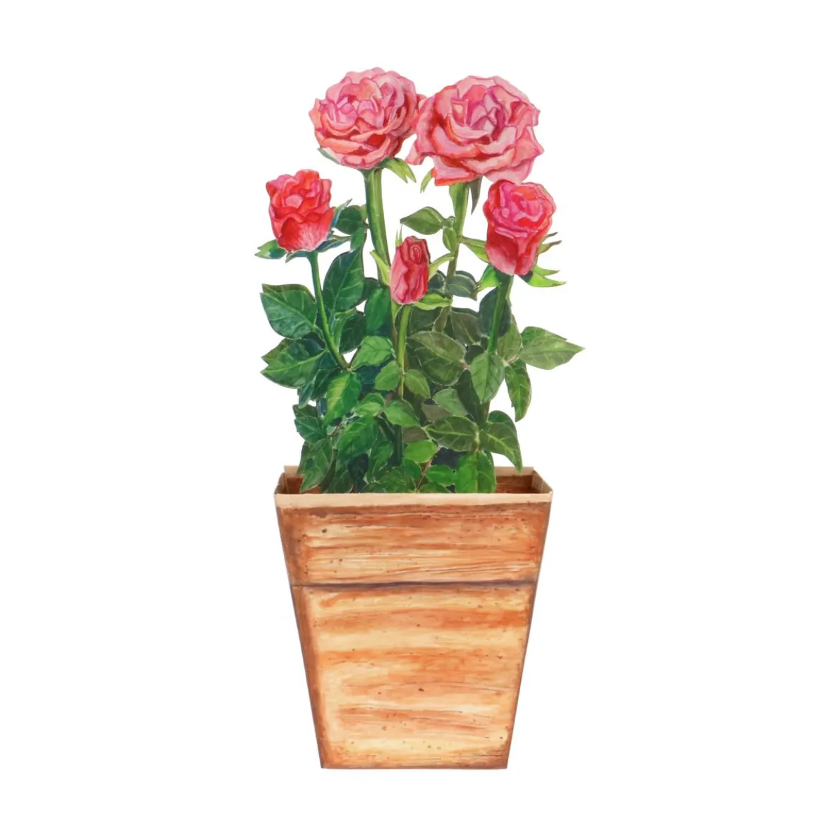 Kaart 3D met envelop, rozen