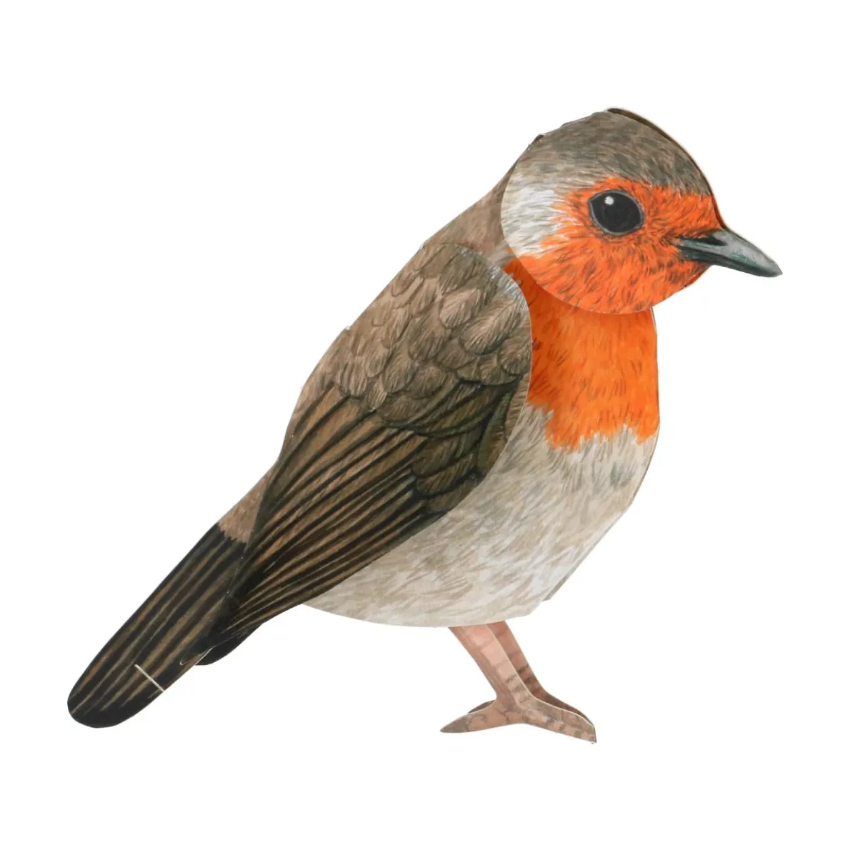 Kaart 3D met envelop, roodborstje