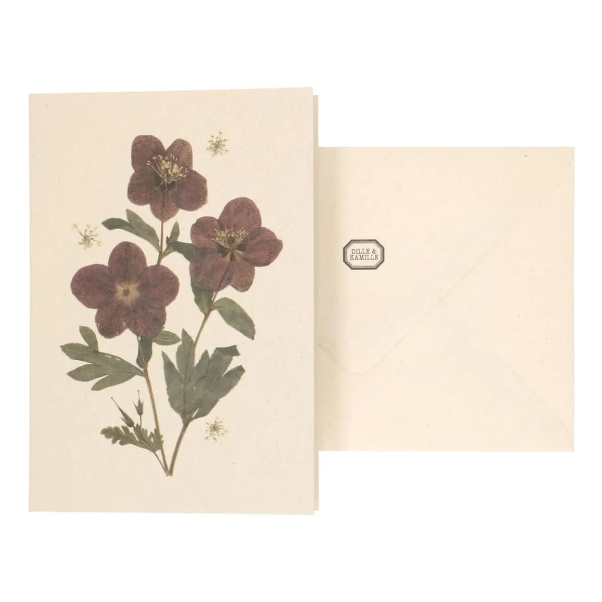 Kaart met envelop, helleborus