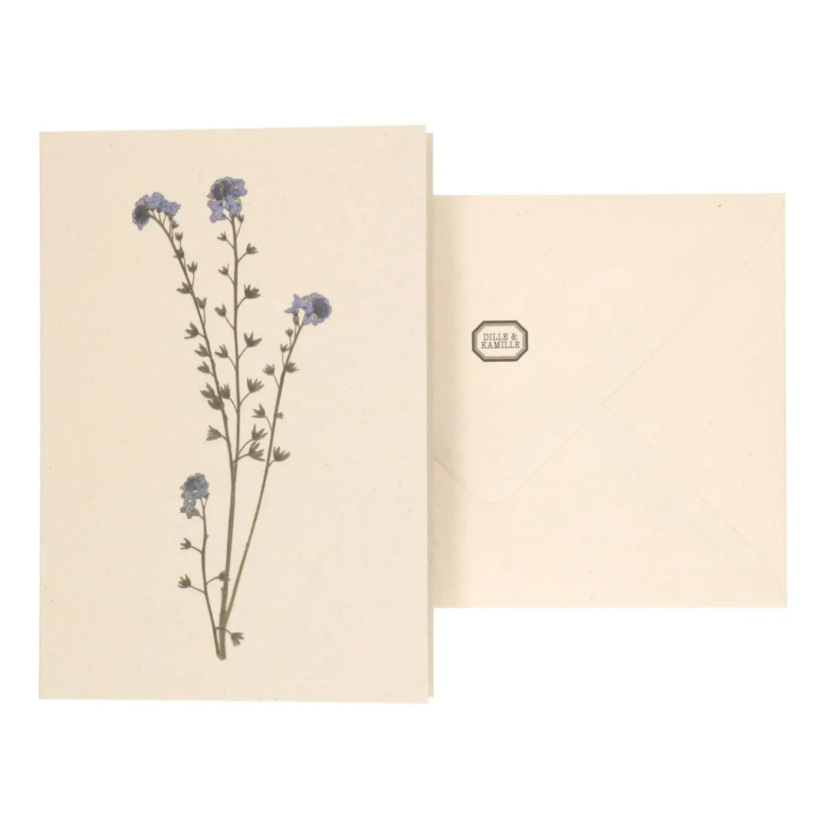 Kaart met envelop, vergeet-me-nietje