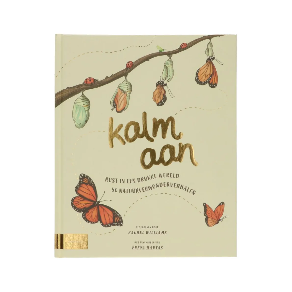 Kalm aan, Rachel Williams