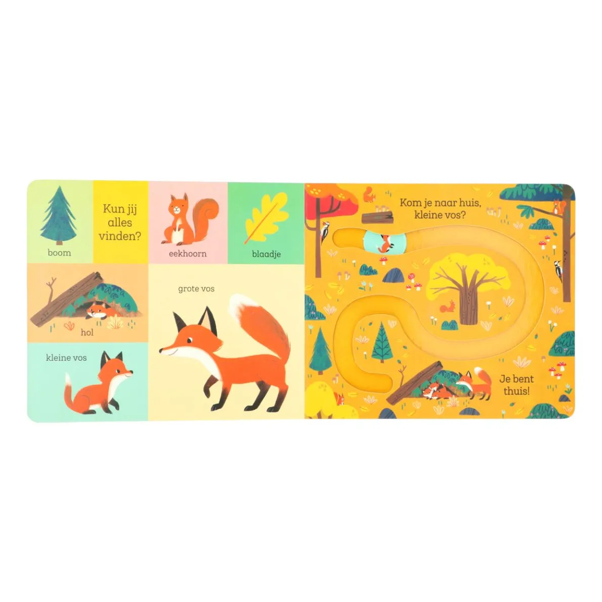 Kom je thuis, klein konijn? Carolina Buzio