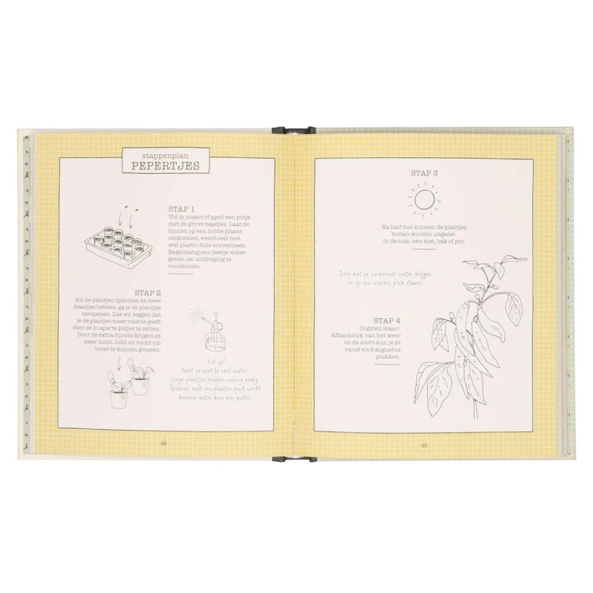 Moestuinieren in potten en kistjes, Dille & Kamille