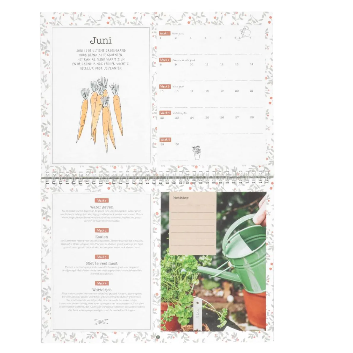 Moestuinkalender, Dille & Kamille