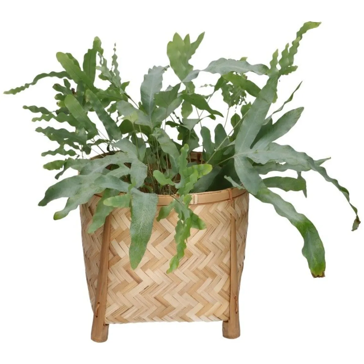 Pot op pootjes, bamboe, naturel, groot