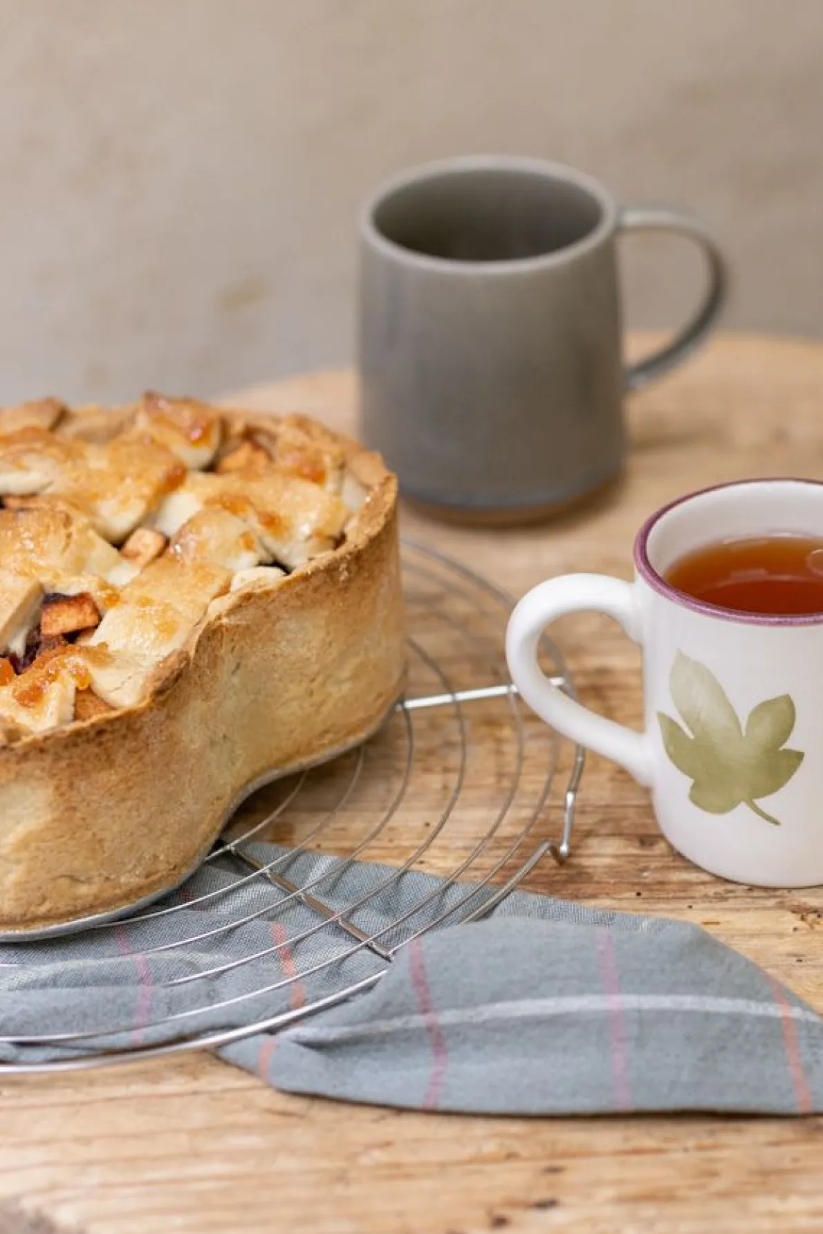 Taartrooster van roestvrij staal, rond