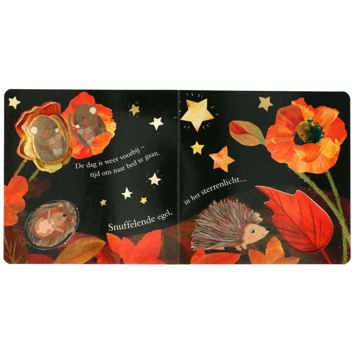 Uil houdt van jou, Patricia Hegarty