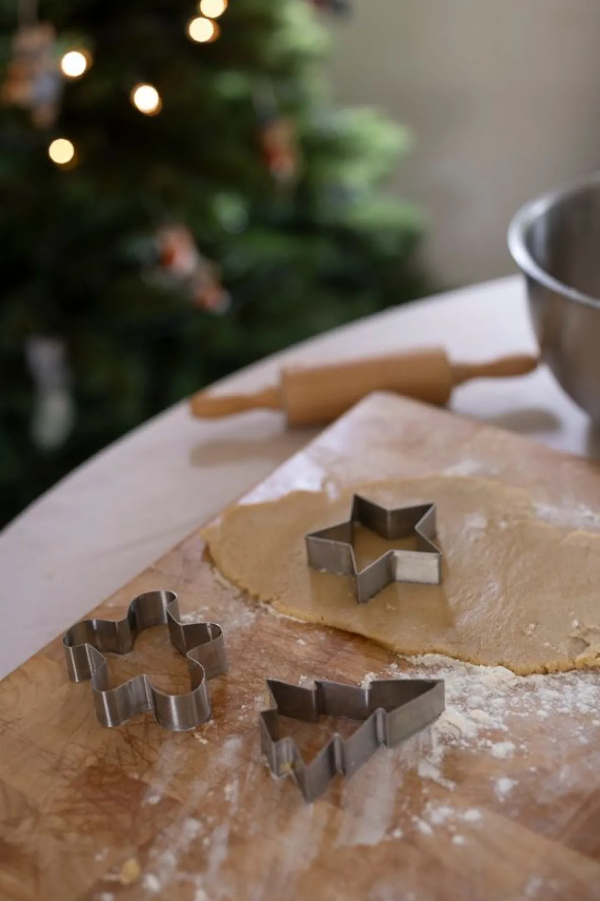 Uitsteekvorm ster, recycled rvs