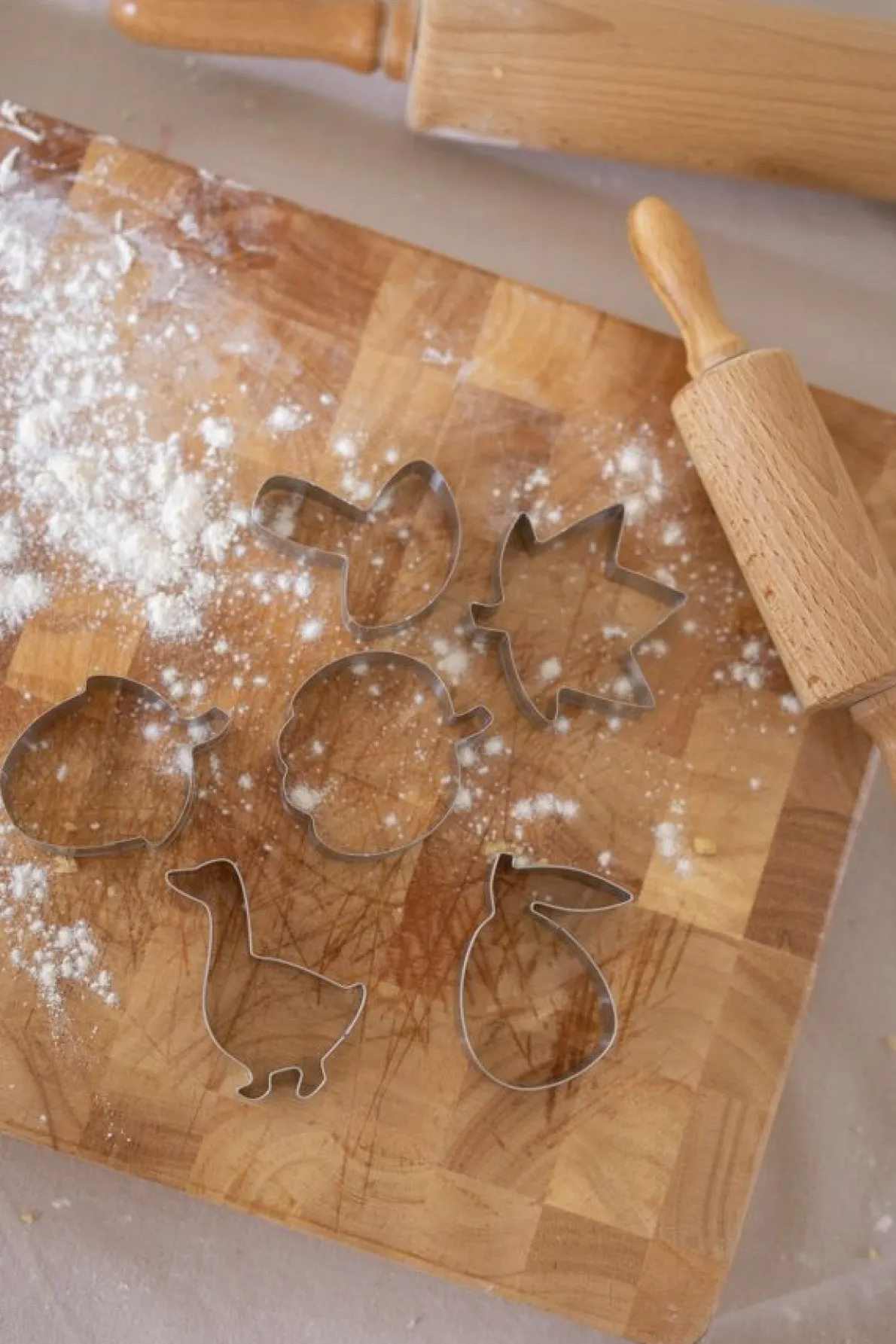 Uitsteekvormpjes, rvs, set van 6 herfstfiguren