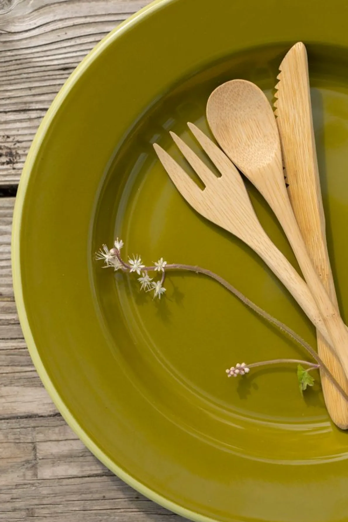 Vork picknick, bamboe