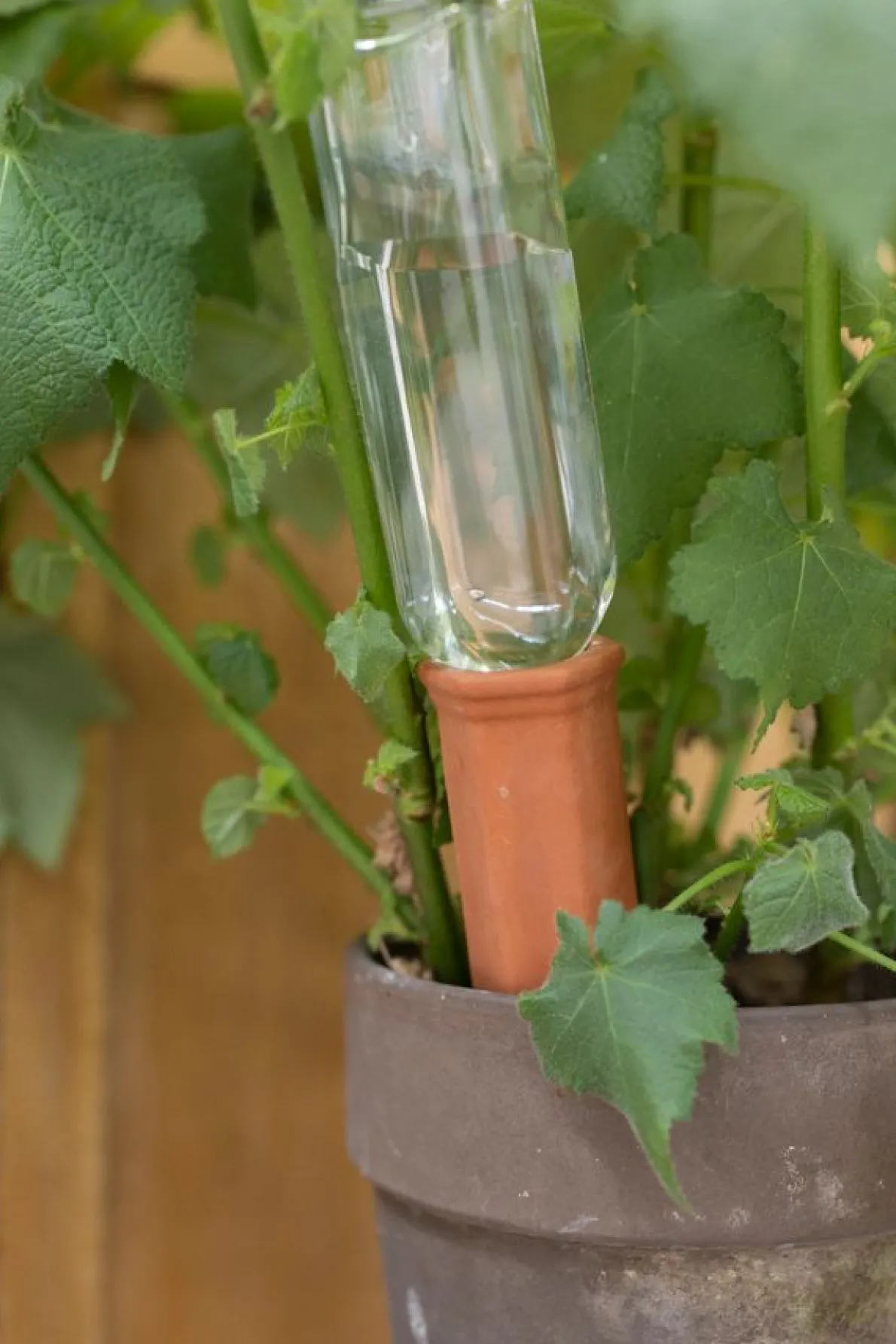 Waterdruppelaar, irrigator, terracotta, 17,5 cm